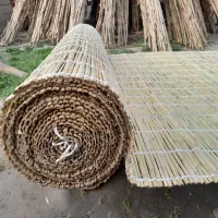 حصیر|کوهنوردی و کمپینگ|گنبد کاووس, |دیوار