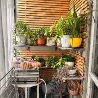 1050متر-ویلایی-بر-20استثنا-منطقه