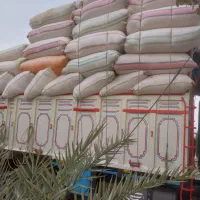 کاه سفید کردستان