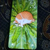 گوشی pocoC75|موبایل|صفادشت, |دیوار