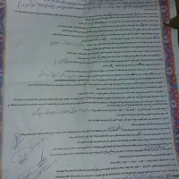 کبوتروجوجه قلم گروبشرط پرش توضیحات کامل خوانده شود