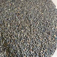 خوراک پرندگان