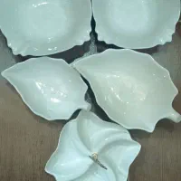 ظروف پذیرایی