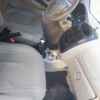 ۱۱۰ ۴ سیلندر|خودرو سواری و وانت|بجنورد, |دیوار