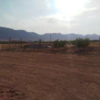 زمین باغی1000متری در کمالوند نزدیک روستا و جاده
