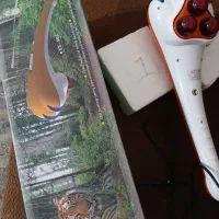 ماساژور برقی