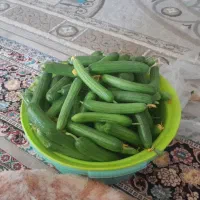 خیار ریز