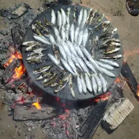 موتور قایق