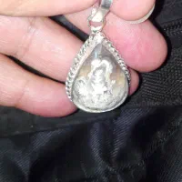 شجر گردنی شکوفه|بدلیجات|مهریز, |دیوار