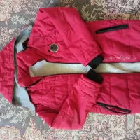 کاپشن وپلیورهفت تایازده سال|لباس|بجنورد, |دیوار