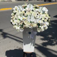 گل السا