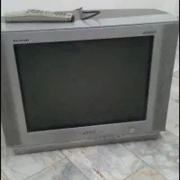 تلویزیون