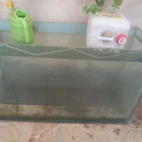 آکواریوم بزرگ سالم و تمیز