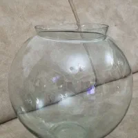 تنگ شیشه ای بزرگ و ضخیم..