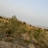 فروش باغ و زمین کشاورزی نزدیک شهر|فروش دفتر صنعتی، کشاورزی، تجاری|ملایر, |دیوار