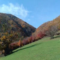 زمین-مسکونی-700-متری-رودبار-جمشیدآباد