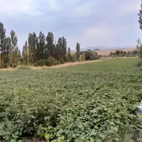 زمین باغ کشاورزی