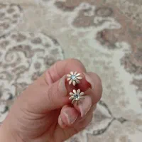 گوشواره