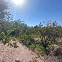 املاک خوشه مهر پیام .شهر سهندوجاده کند|فروش خانه و ویلا|اسکو, |دیوار