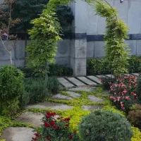 فروشنده گلو گیاه