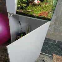 آکواریوم با گیاه زنده|ماهی|قم, نخودی|دیوار