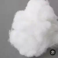 پنبه والیاف