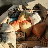 قایق وموتور ۲۰۰ سوزوکی