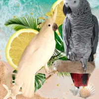 فروش و معاوضه کاسکو و کاکادو|پرنده|تهران, جوانمردان (اندیشه)|دیوار