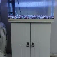 آکواریوم|ماهی|گلپایگان, |دیوار