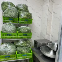 استخدام نیرو