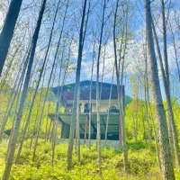 اجاره روزانه سوئیت جنگلی