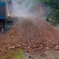 کود حیوانی|خدمات باغبانی و درختکاری|تنکابن, |دیوار