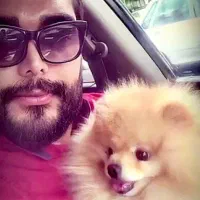 واگذاری سگ پامر