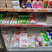 همکاراقا برای  افق کوروش