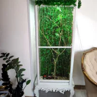 قفس بزرگ پرنده