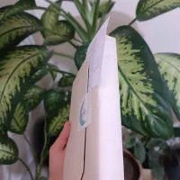 تعدادی کتاب فروشی