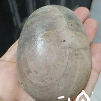 زیبایی طبیعت