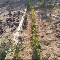 باغبانی سمپاشی تیلرزنی گلکاری هرس کاری کودهی