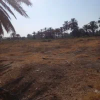 اجاره ی زمین  کشاورزی