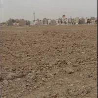 زمین باغ سیاه بید بالا