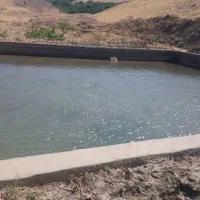 سیمان کاری‌.نرمه.مینرال.شسته.|خدمات پیشه و مهارت|مراغه, |دیوار