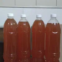 ابغوره ابغوره