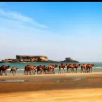 گشت جزیره با ماشین پارس تیو فایو|تور و چارتر|قشم, |دیوار