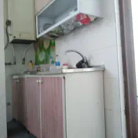 همخونه یا همخانه خانم