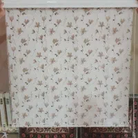 پرده زبرا دو مکانیزه