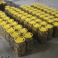 ترشی گل سیر