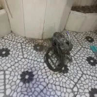 فنرزنی چاه بازکن۲۴ساعت فنرزن کل یزد تفت زارچ اشکذر|خدمات پیشه و مهارت|یزد, |دیوار