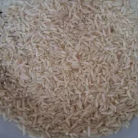 برنج دم سیاه عالی