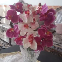 سه شاخه گل ۳۰۰۰۰۰