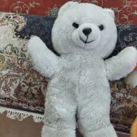 مقداری خرس  تمیز در حد نو